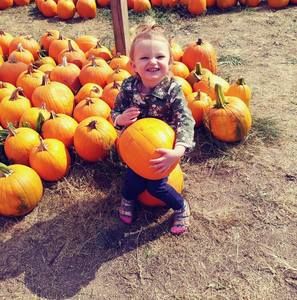 Meet your Posher, Angel